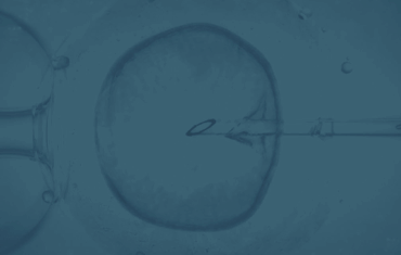 Como a inteligência artificial está mudando a fertilização in vitro