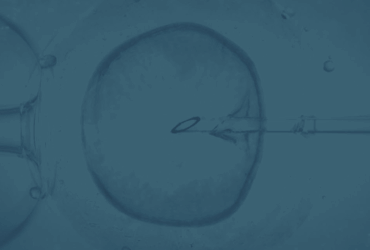 Como a inteligência artificial está mudando a fertilização in vitro